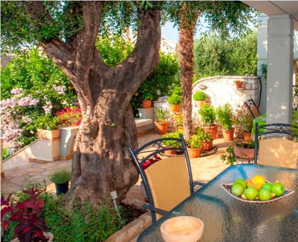 Villa Aliki Barbati Dış mekan fotoğraf